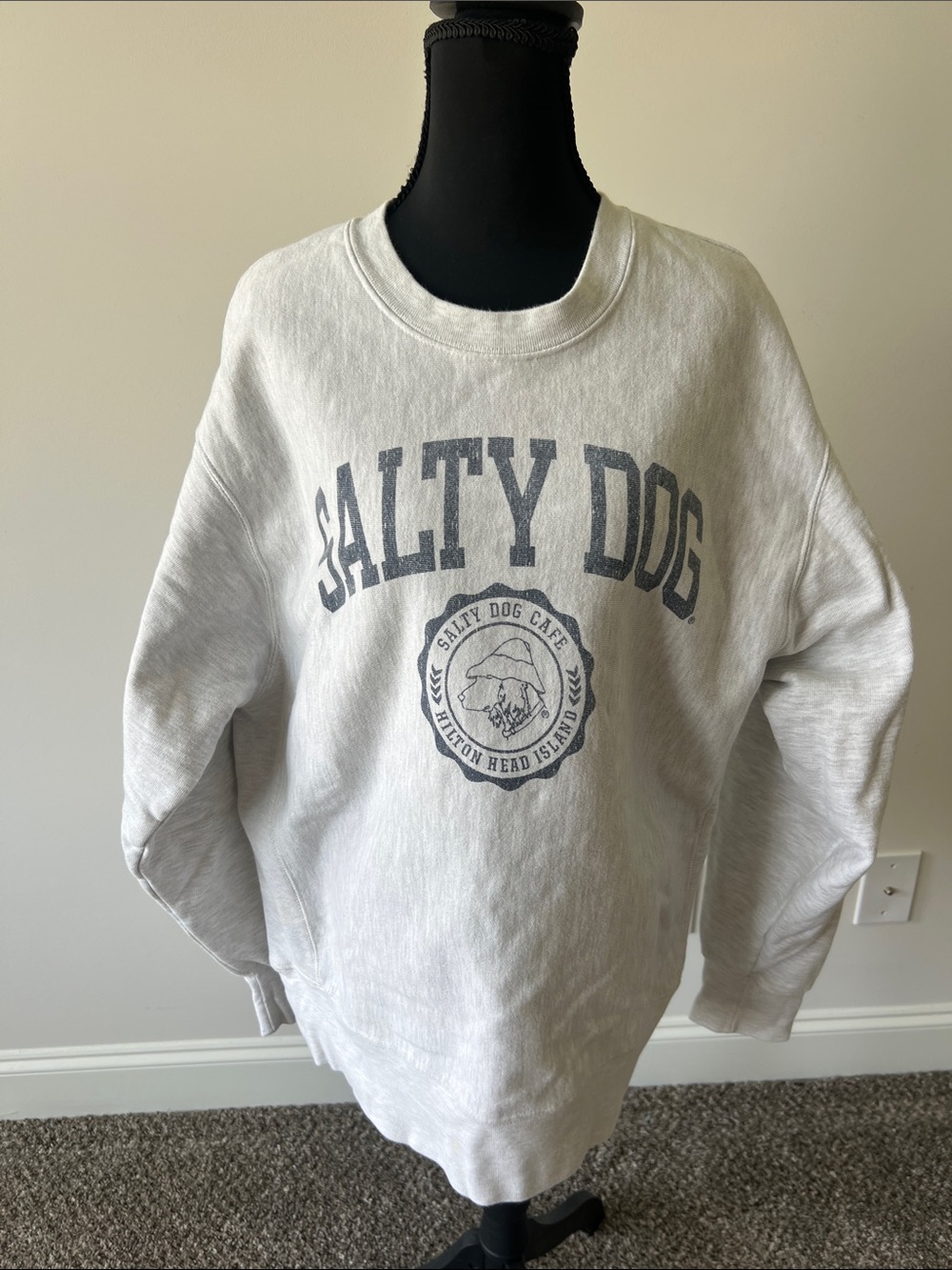 Champion Salty Dog Graphic Sweatshirt in Light Gray Oversized - Picture 1 of 7
